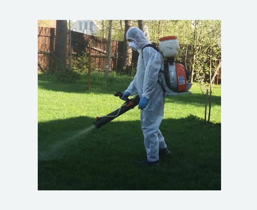 Обработка территории от клещей в Сколково