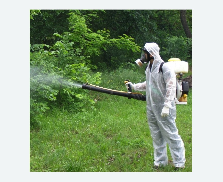 обработка территории от клещей в Сколково