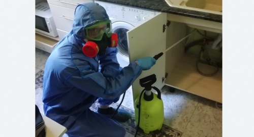 Уничтожение муравьев в квартире. Сколково