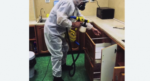 Уничтожение насекомых в квартире. Сколково