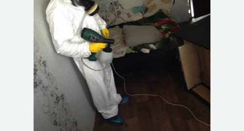 Обработка квартир от насекомых в Сколково