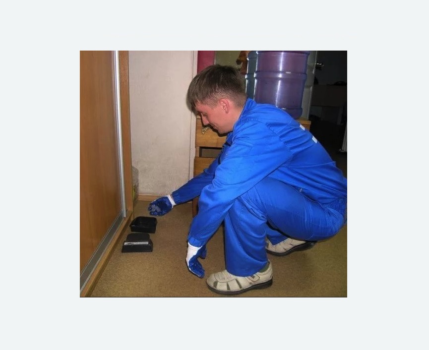 Дератизация крыс в Сколково