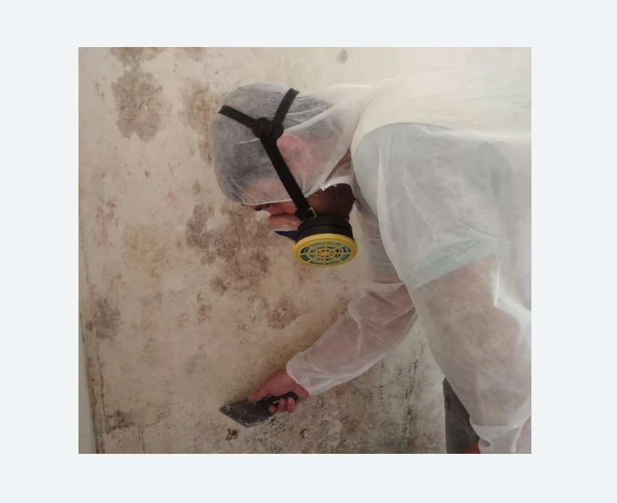 Обработка стен от плесени в Сколково