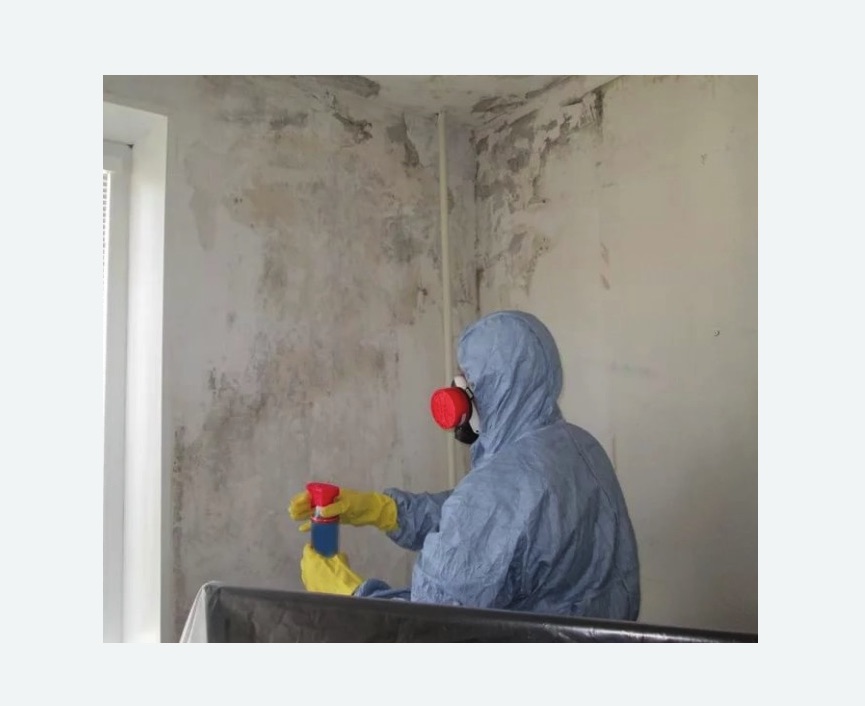 Удаление плесени в квартире в Сколково