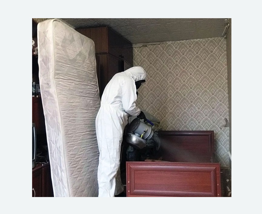 дезинфекция от клопов в Сколково