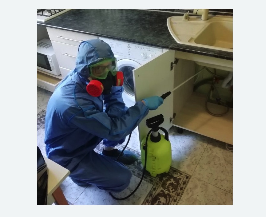 обработка от муравьев в квартире в Сколково