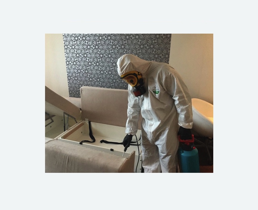 уничтожение клопов в квартире в Сколково