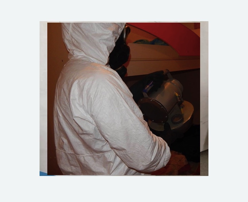 Дезинфекция от муравьев в Сколково