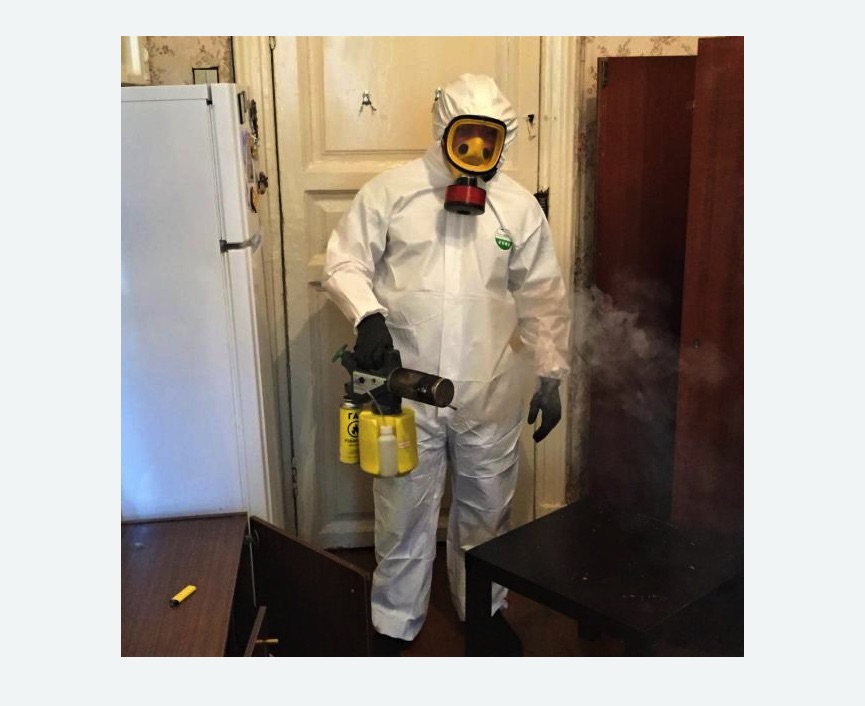 уничтожение муравьев в квартире в Сколково